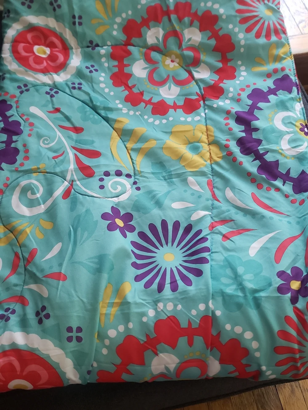 Disney Elena of Avalor Hot Pink and Turquoise Floral Throw